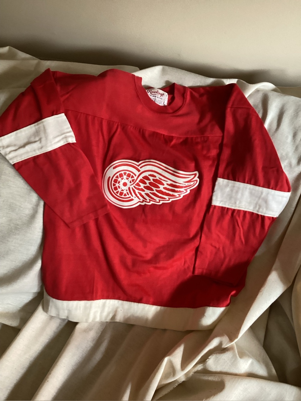 VTG 70/80s Detroit Redwings Hockey Jersey Crewneck L